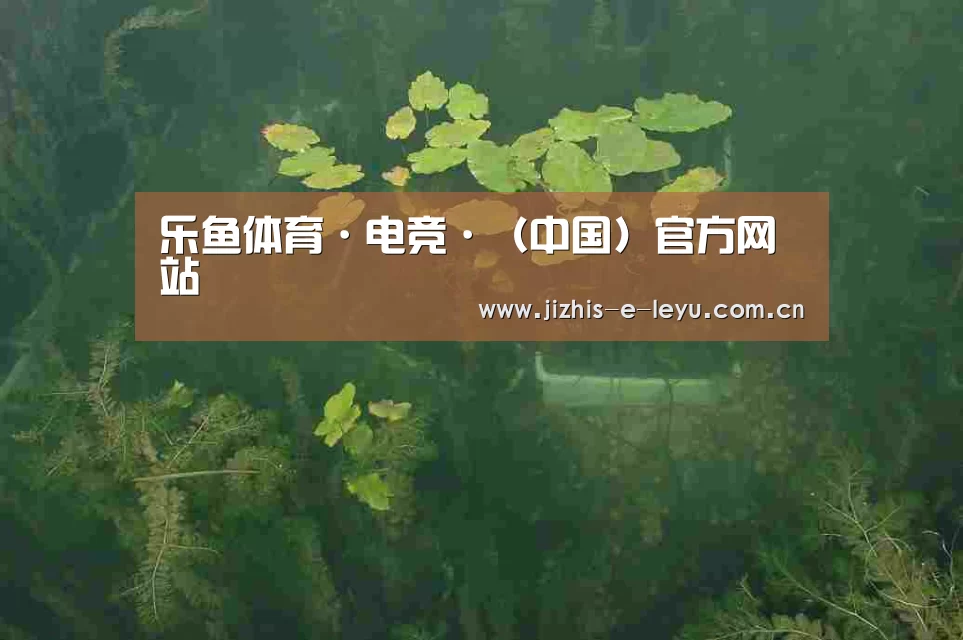 案例展示三(图1)
