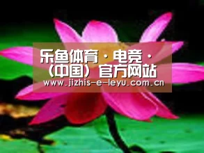 产品名称五