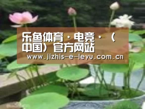 产品名称一