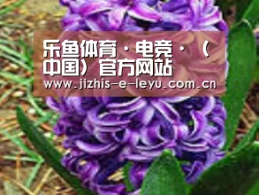 产品名称八