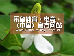 产品名称三