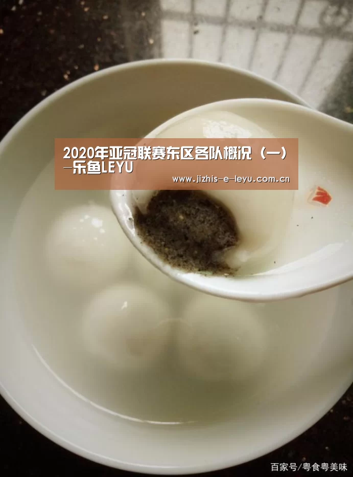 乐鱼网站