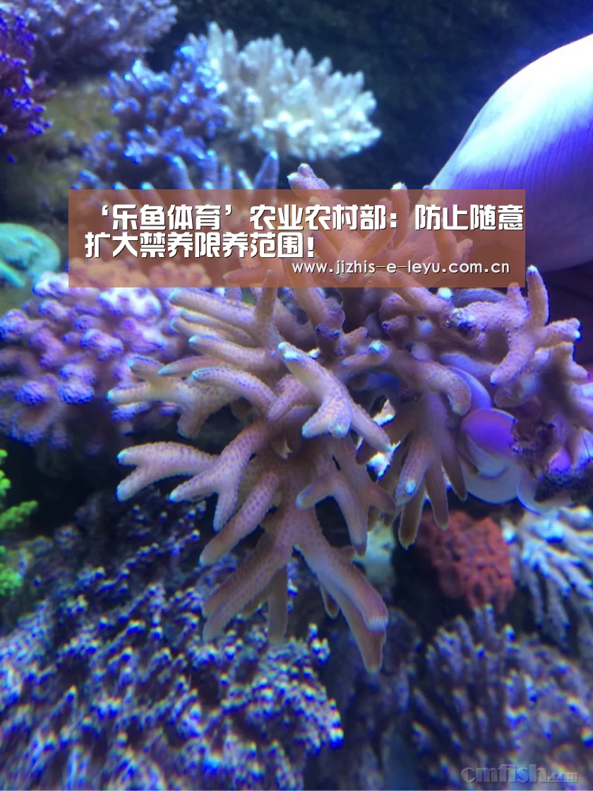 乐鱼体育