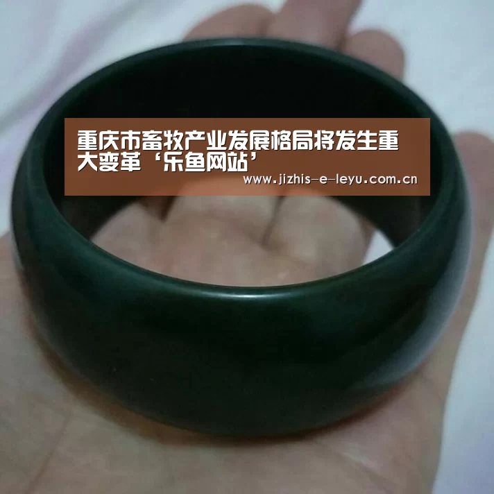 乐鱼LEYU