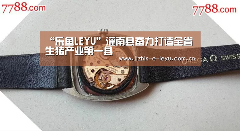 乐鱼体育