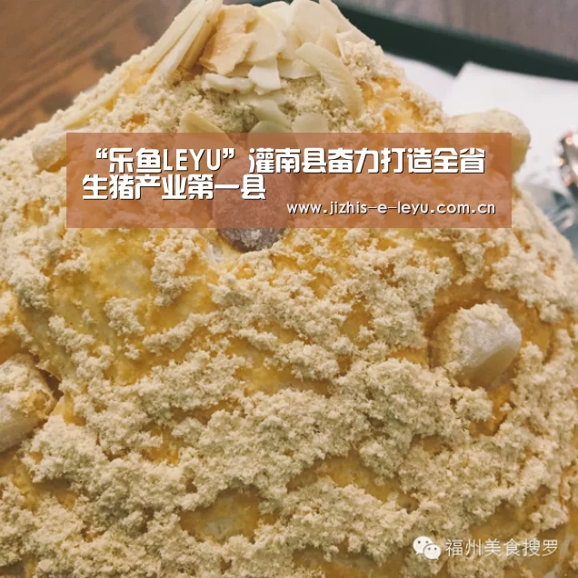 乐鱼网站