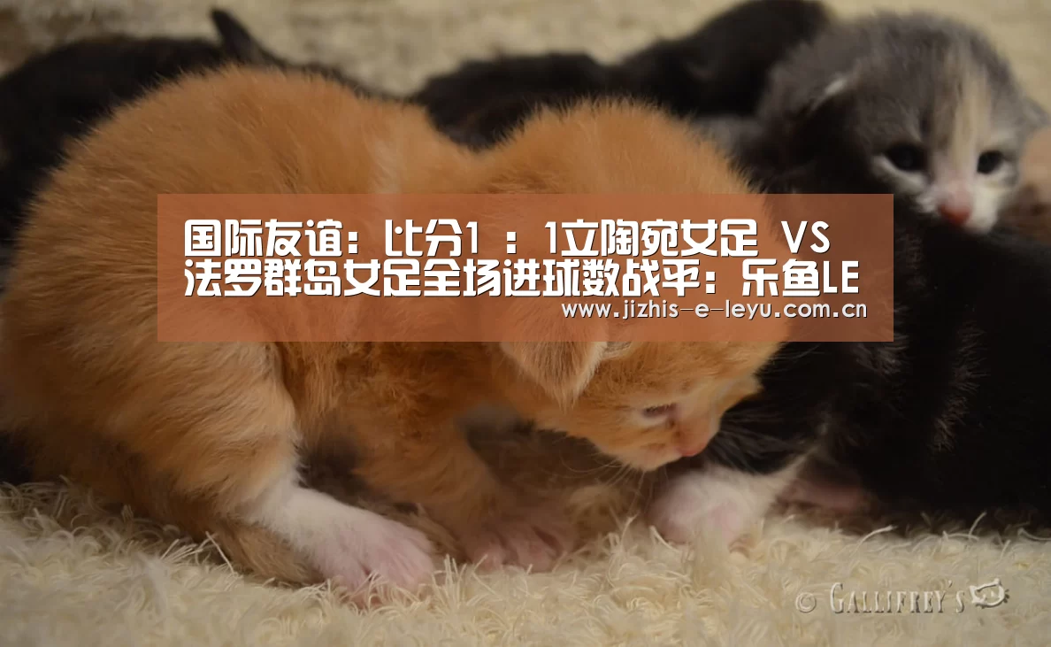 乐鱼中国体育