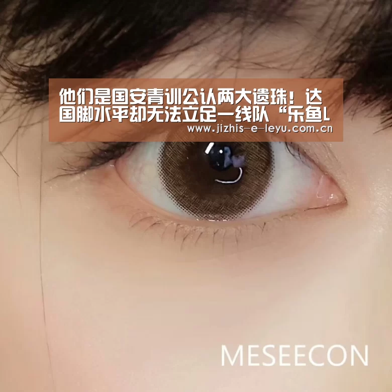 乐鱼网站
