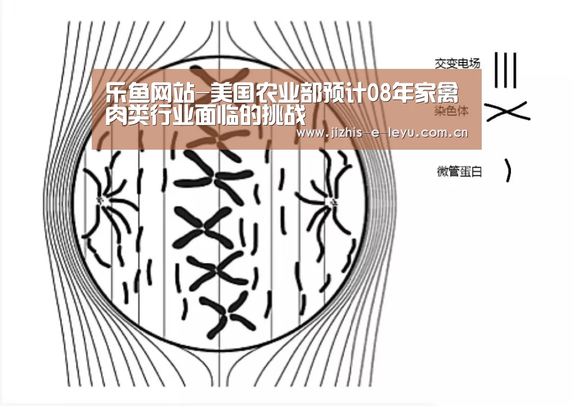 乐鱼网站-美国农业部预计08年家禽肉类行业面临的挑战