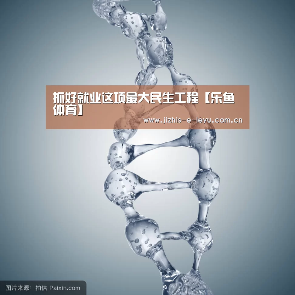 抓好就业这项最大民生工程【乐鱼体育】(图1) 乐鱼LEYU